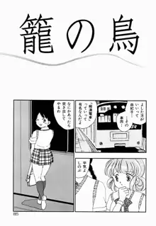 家族の禁断肖像, 日本語