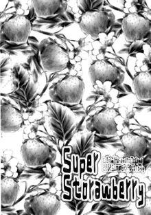 Super Storawberry, 日本語