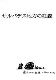 サルバデス地方の紅森, 日本語