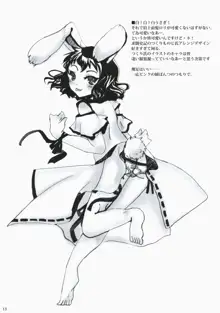 Touhou hon 2, 日本語