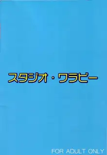 えっちぃのは好きですか？ 2, 日本語