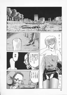 愛のスクールRAPE+2πr 第2巻, 日本語