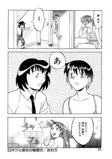 ボクと彼女の秘密, 日本語