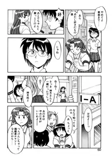 ボクと彼女の秘密, 日本語