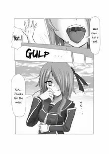 PSO2 Manga, English