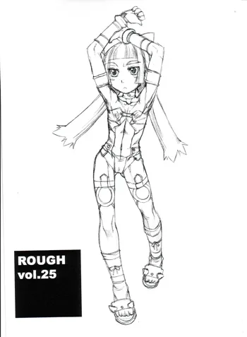 ROUGH vol.25