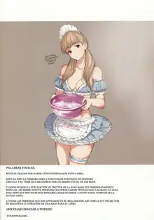 MAID IROIRO, Español