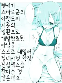 Rem-san ga Subaru-kun no Shimo no Osewa no Ikkan toshite, 한국어