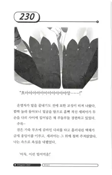 최면게임 - 타락하는 공주기사, 한국어