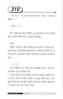 최면게임 - 타락하는 공주기사, 한국어