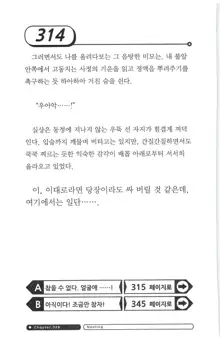 최면게임 - 타락하는 공주기사, 한국어