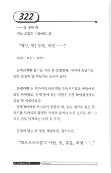 최면게임 - 타락하는 공주기사, 한국어