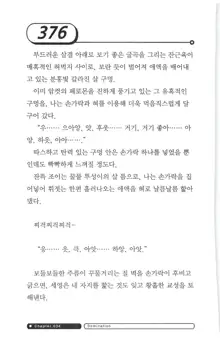 최면게임 - 타락하는 공주기사, 한국어