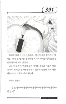 최면게임 - 타락하는 공주기사, 한국어