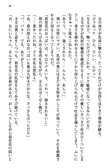 甘えんぼツンな生徒会長と巨乳小悪魔のW妹が俺を婿取りバトル中, 日本語