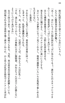 甘えんぼツンな生徒会長と巨乳小悪魔のW妹が俺を婿取りバトル中, 日本語