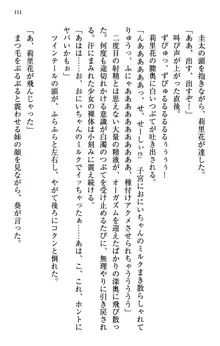 甘えんぼツンな生徒会長と巨乳小悪魔のW妹が俺を婿取りバトル中, 日本語