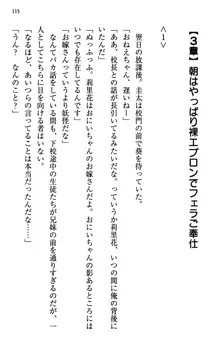 甘えんぼツンな生徒会長と巨乳小悪魔のW妹が俺を婿取りバトル中, 日本語