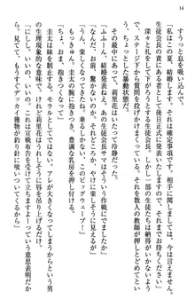 甘えんぼツンな生徒会長と巨乳小悪魔のW妹が俺を婿取りバトル中, 日本語