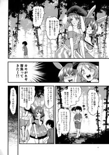 うさぎうさぎナニみてはねる, 日本語