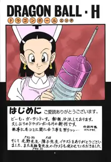 DragonBall H Maki San, Français