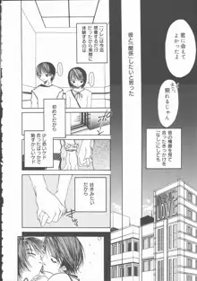 君を犯したい, 日本語