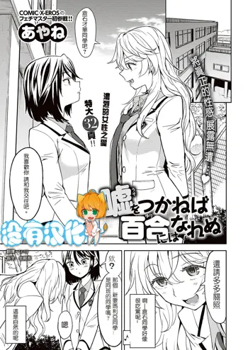 Uso o Tsukaneba Yuri ni wa Narenu | If a Lie Is Not Told, It Cannot Become Yuri, 中文