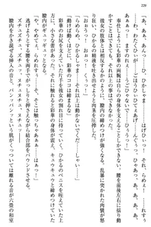 お嬢様と俺の主従関係 ～成功の標は性交にあり！？～, 日本語