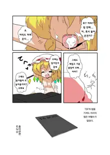 Touhou TS Monogatari ~Flandre Hen~, 한국어