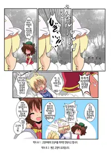 Touhou TS Monogatari ~Ran Hen~, 한국어