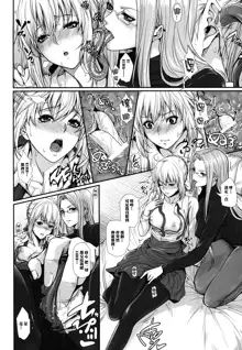 Shirou-kun Harem!! Servant Hen, 中文