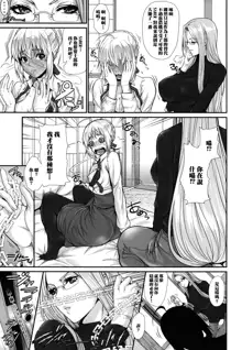 Shirou-kun Harem!! Servant Hen, 中文