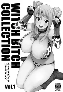 Witch Bitch Collection Vol.1, 中文