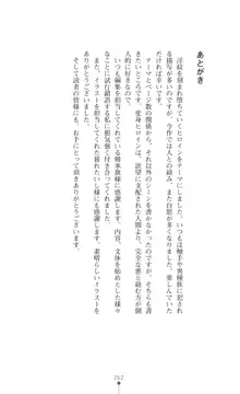 プリミルシャイン 淫紋と触手コスチュームに堕とされる100日, 日本語