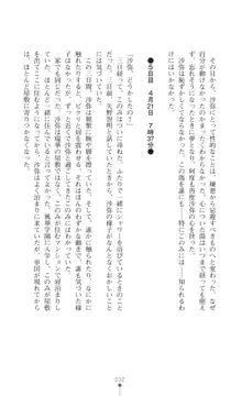 プリミルシャイン 淫紋と触手コスチュームに堕とされる100日, 日本語