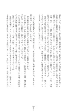 プリミルシャイン 淫紋と触手コスチュームに堕とされる100日, 日本語