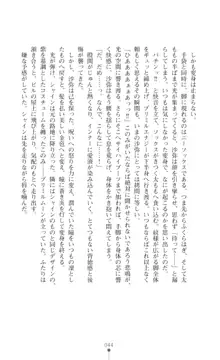 プリミルシャイン 淫紋と触手コスチュームに堕とされる100日, 日本語