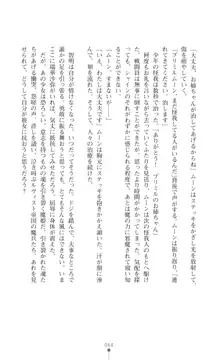 プリミルシャイン 淫紋と触手コスチュームに堕とされる100日, 日本語