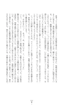 プリミルシャイン 淫紋と触手コスチュームに堕とされる100日, 日本語