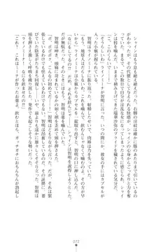 プリミルシャイン 淫紋と触手コスチュームに堕とされる100日, 日本語