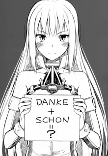 DANKE+SCHON, 中文