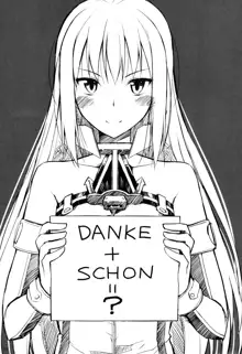 DANKE+SCHON, 中文