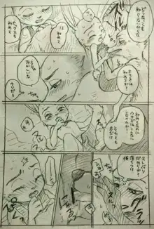 Nick x Judy, 日本語