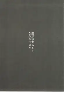 もちかえりイリヤスフィール, 日本語