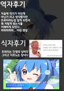 Cirno-chan ni Ii ne Ii ne, 한국어