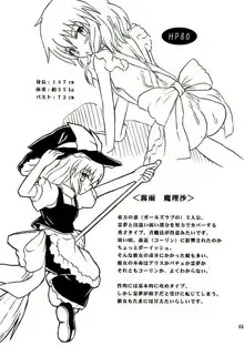 東方妖女乱舞2, 日本語