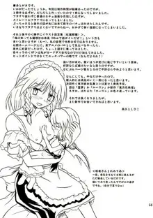 東方妖女乱舞2, 日本語