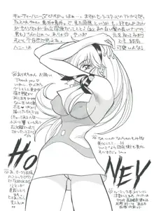 honey FLASH, 日本語