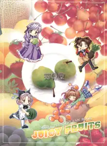 JUICY FRUITS, 日本語