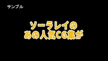 家内蹂躙 千切られ妻 下, 日本語